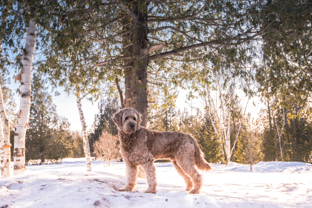 Winter-14
