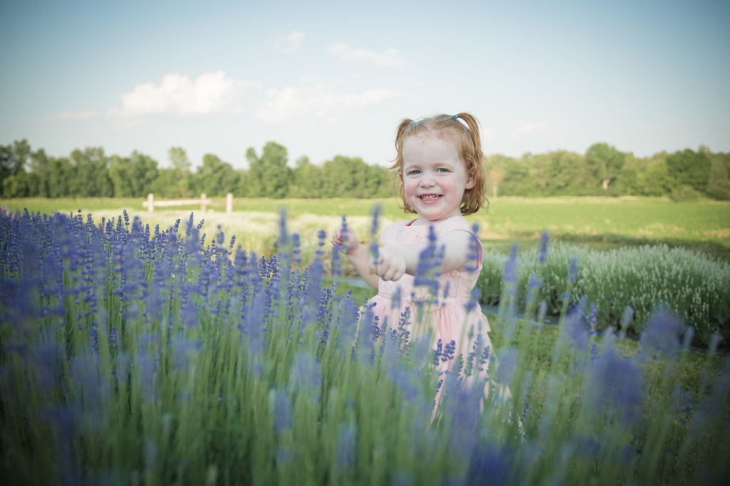 Trepanier Lavender-22 (1)